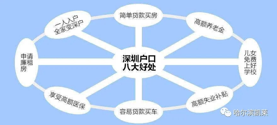 深圳本科學(xué)歷辦理?xiàng)l件及入戶資格