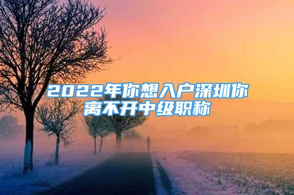 2022年你想入戶深圳你離不開(kāi)中級(jí)職稱