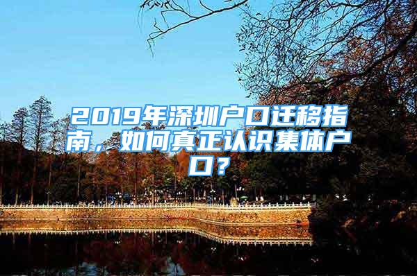 2019年深圳戶口遷移指南，如何真正認識集體戶口？