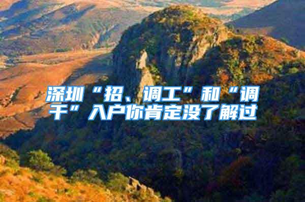 深圳“招、調工”和“調干”入戶你肯定沒了解過