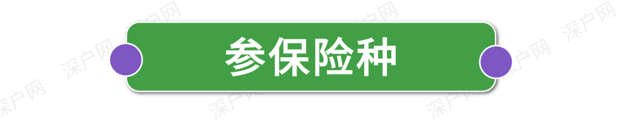 新政執(zhí)行！非深戶也能自己交醫(yī)保！網(wǎng)上就能辦