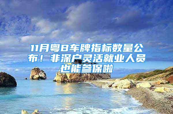 11月粵B車牌指標(biāo)數(shù)量公布！非深戶靈活就業(yè)人員也能參保啦