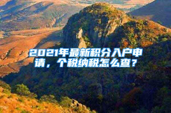 2021年最新積分入戶申請(qǐng)，個(gè)稅納稅怎么查？