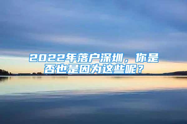 2022年落戶深圳，你是否也是因為這些呢？