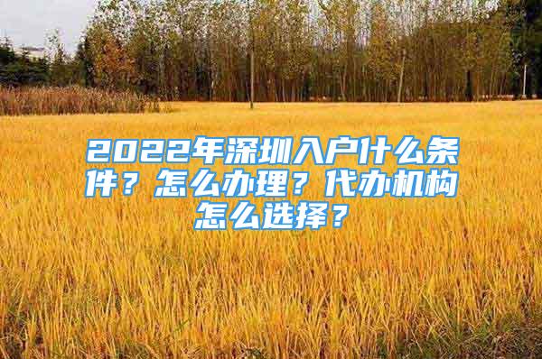 2022年深圳入戶什么條件？怎么辦理？代辦機(jī)構(gòu)怎么選擇？