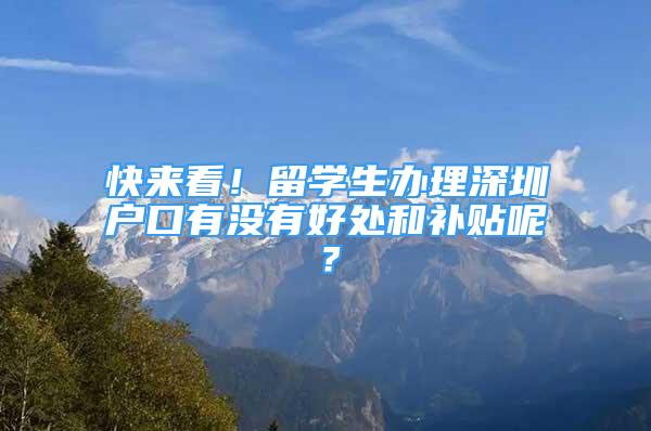 快來看！留學(xué)生辦理深圳戶口有沒有好處和補貼呢？