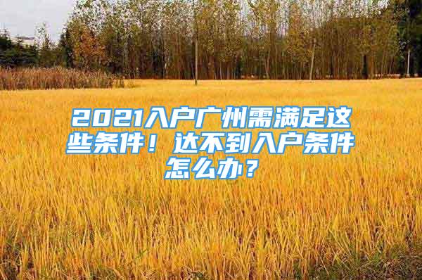 2021入戶廣州需滿足這些條件！達(dá)不到入戶條件怎么辦？