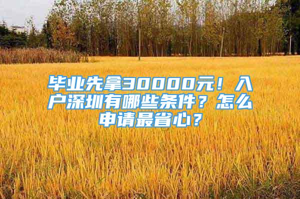 畢業(yè)先拿30000元！入戶深圳有哪些條件？怎么申請(qǐng)最省心？