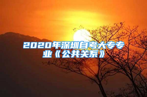 2020年深圳自考大專(zhuān)專(zhuān)業(yè)《公共關(guān)系》