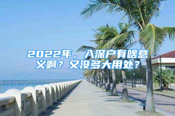 2022年，入深戶有啥意義啊？又沒多大用處？