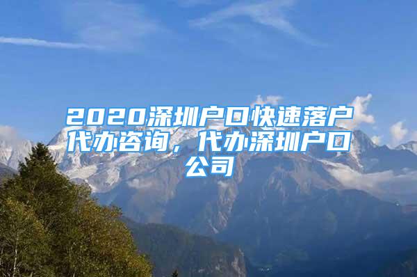 2020深圳戶口快速落戶代辦咨詢，代辦深圳戶口公司