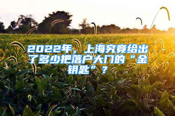 2022年，上海究竟給出了多少把落戶大門的“金鑰匙”？