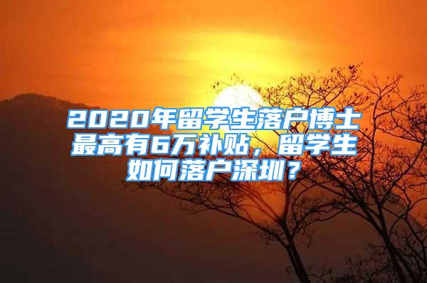 2020年留學(xué)生落戶博士最高有6萬補貼，留學(xué)生如何落戶深圳？