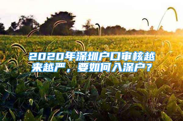 2020年深圳戶口審核越來越嚴，要如何入深戶？