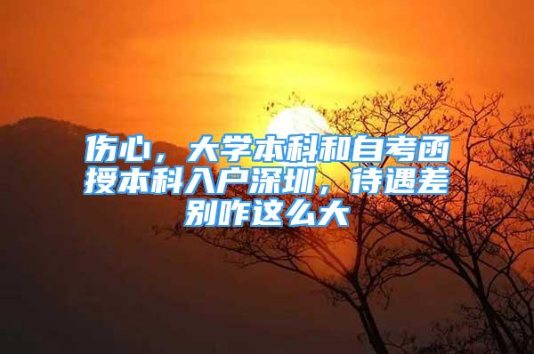 傷心，大學(xué)本科和自考函授本科入戶深圳，待遇差別咋這么大