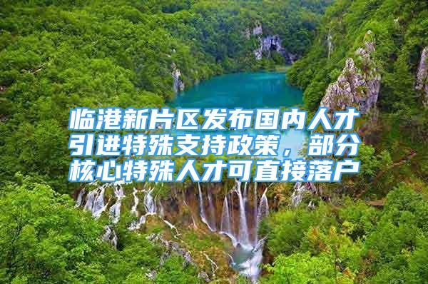 臨港新片區(qū)發(fā)布國內人才引進特殊支持政策，部分核心特殊人才可直接落戶