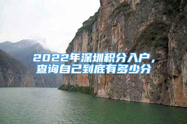 2022年深圳積分入戶，查詢自己到底有多少分