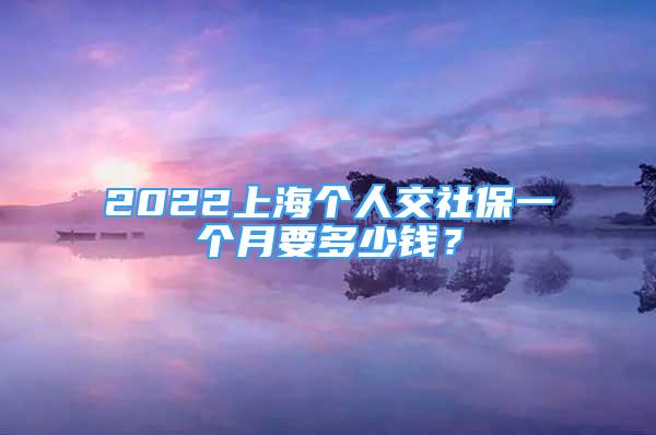 2022上海個人交社保一個月要多少錢？