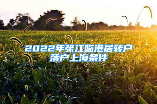 2022年張江臨港居轉(zhuǎn)戶(hù)落戶(hù)上海條件