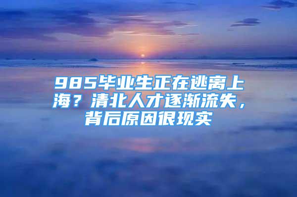 985畢業(yè)生正在逃離上海？清北人才逐漸流失，背后原因很現(xiàn)實(shí)