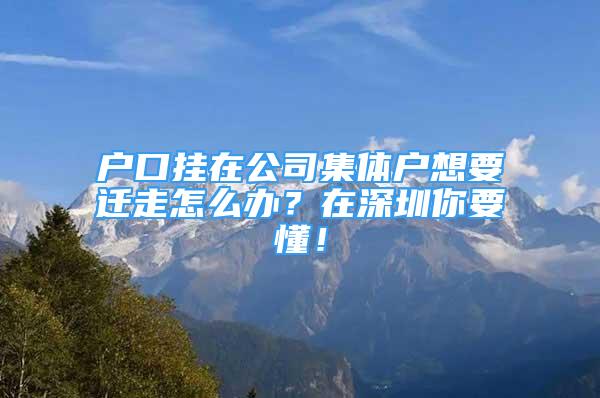 戶口掛在公司集體戶想要遷走怎么辦？在深圳你要懂！