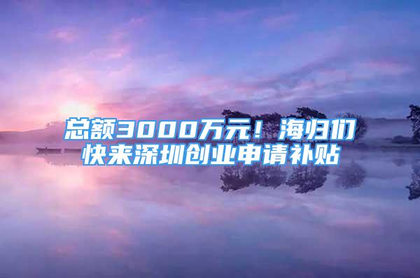 總額3000萬元！海歸們快來深圳創(chuàng)業(yè)申請(qǐng)補(bǔ)貼