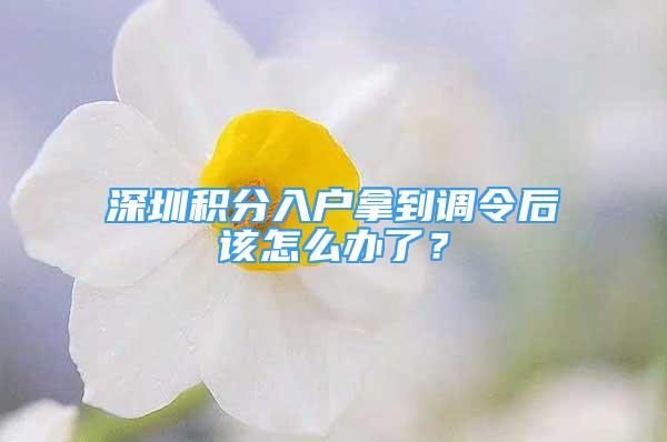 深圳積分入戶拿到調(diào)令后該怎么辦了？