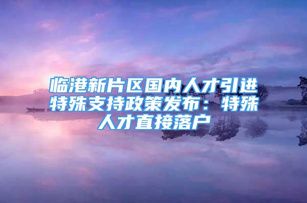 臨港新片區(qū)國內(nèi)人才引進(jìn)特殊支持政策發(fā)布：特殊人才直接落戶