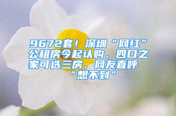 9672套！深圳“網(wǎng)紅”公租房今起認(rèn)購，四口之家可選三房，網(wǎng)友直呼“想不到”