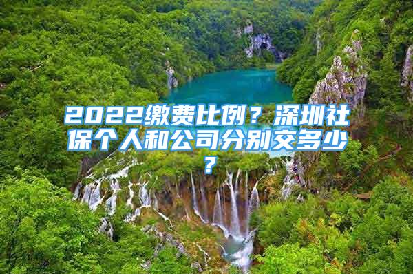 2022繳費(fèi)比例？深圳社保個(gè)人和公司分別交多少？