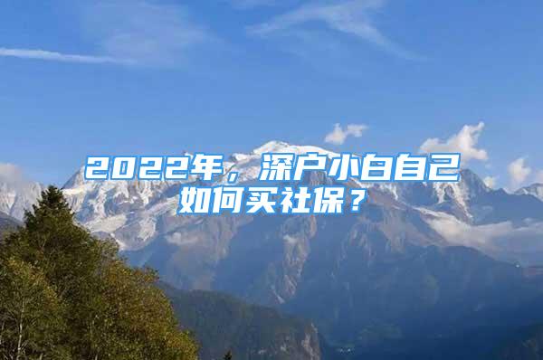 2022年，深戶小白自己如何買社保？