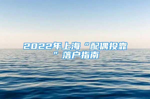 2022年上?！芭渑纪犊俊甭鋺糁改?/></p>
								<p style=