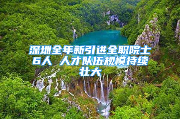 深圳全年新引進(jìn)全職院士6人 人才隊(duì)伍規(guī)模持續(xù)壯大