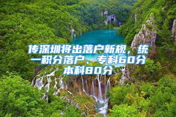 傳深圳將出落戶新規(guī)，統(tǒng)一積分落戶、?？?0分本科80分