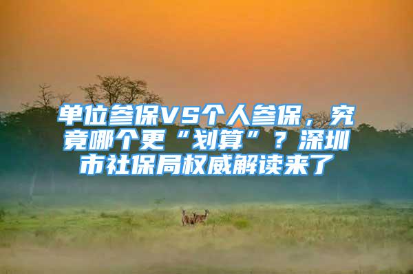 單位參保VS個(gè)人參保，究竟哪個(gè)更“劃算”？深圳市社保局權(quán)威解讀來(lái)了