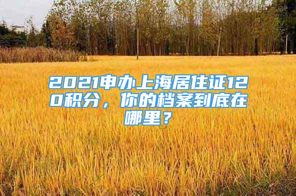 2021申辦上海居住證120積分，你的檔案到底在哪里？