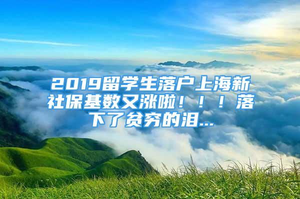 2019留學(xué)生落戶上海新社?；鶖?shù)又漲啦?。?！落下了貧窮的淚...