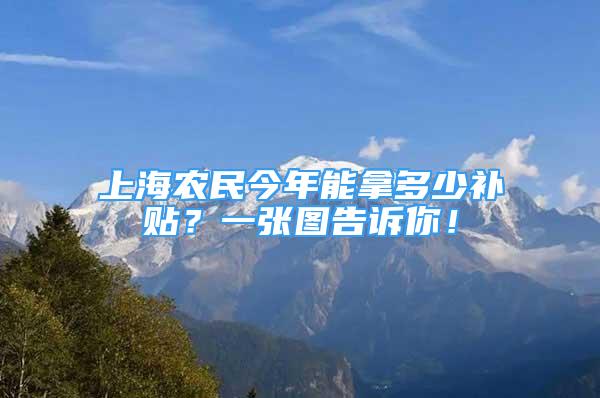 上海農(nóng)民今年能拿多少補(bǔ)貼？一張圖告訴你！