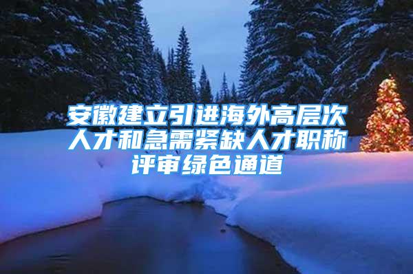 安徽建立引進海外高層次人才和急需緊缺人才職稱評審綠色通道