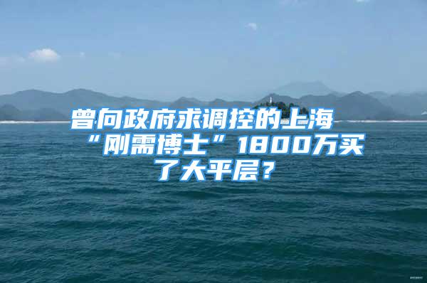 曾向政府求調(diào)控的上海“剛需博士”1800萬買了大平層？