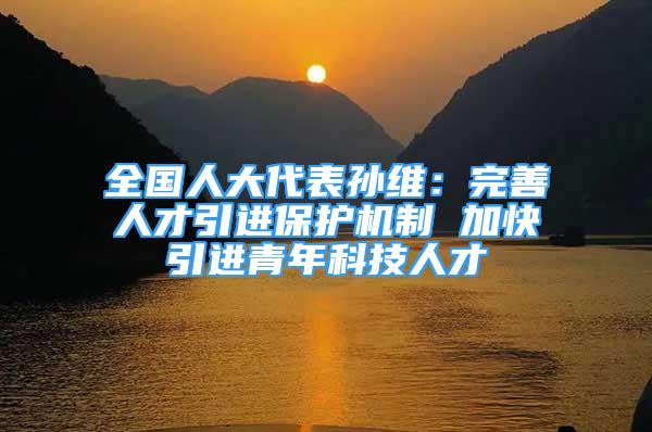 全國(guó)人大代表孫維：完善人才引進(jìn)保護(hù)機(jī)制 加快引進(jìn)青年科技人才