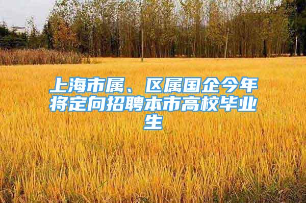 上海市屬、區(qū)屬國企今年將定向招聘本市高校畢業(yè)生