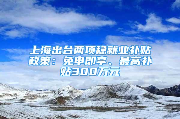 上海出臺兩項穩(wěn)就業(yè)補貼政策：免申即享、最高補貼300萬元