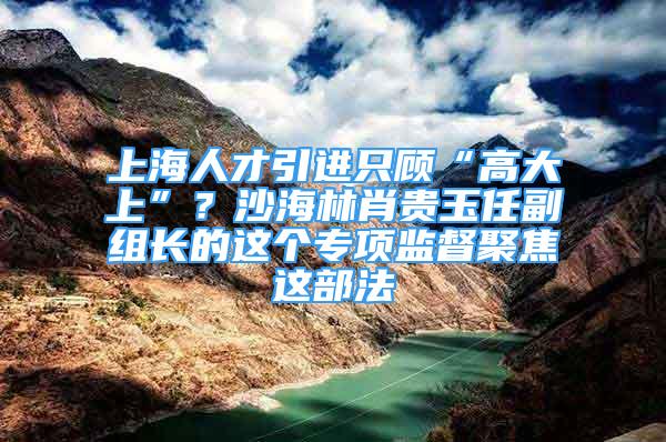 上海人才引進只顧“高大上”？沙海林肖貴玉任副組長的這個專項監(jiān)督聚焦這部法