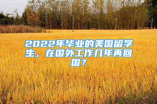 2022年畢業(yè)的美國留學(xué)生，在國外工作幾年再回國？