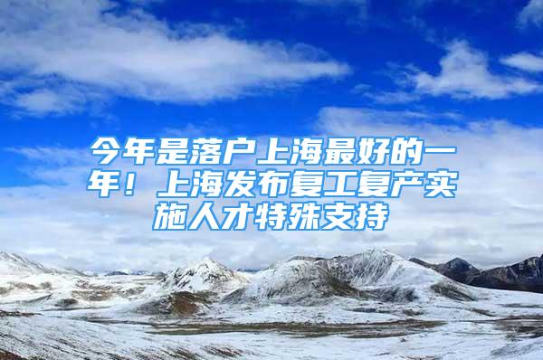 今年是落戶上海最好的一年！上海發(fā)布復(fù)工復(fù)產(chǎn)實施人才特殊支持