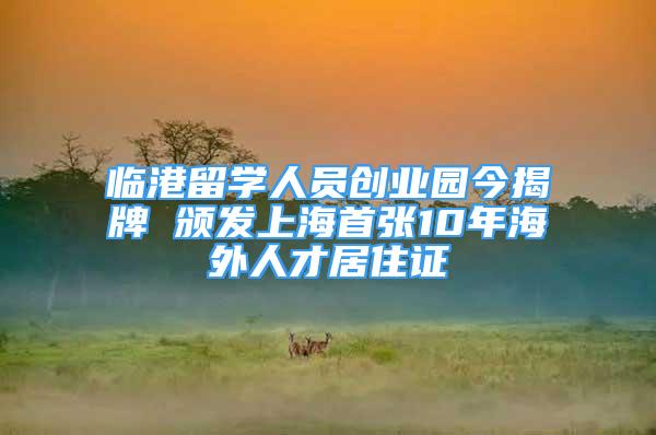 臨港留學人員創(chuàng)業(yè)園今揭牌 頒發(fā)上海首張10年海外人才居住證