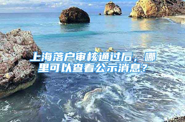 上海落戶審核通過后，哪里可以查看公示消息？