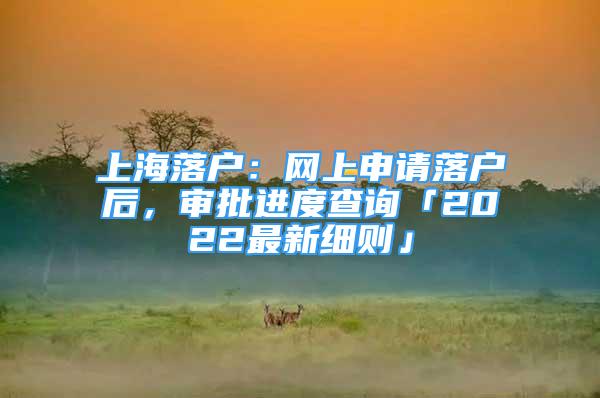 上海落戶：網(wǎng)上申請落戶后，審批進度查詢「2022最新細則」