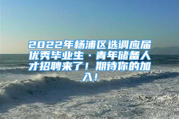 2022年楊浦區(qū)選調(diào)應(yīng)屆優(yōu)秀畢業(yè)生·青年儲(chǔ)備人才招聘來(lái)了！期待你的加入！